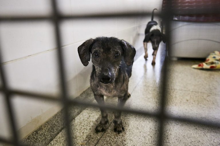 img20210730101910560-768×512-1